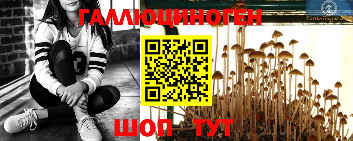 Волгодонск  Галлюциногенные грибы ЛСД  Вход с VPN  купить наркотики сайты  Псилоцибиновые грибы мухоморы 