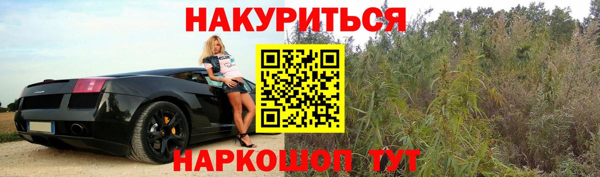 Волгодонск  Канабис планчик  Вход с VPN  Бошки марихуана ГИДРОПОН  Бошки марихуана сатива 